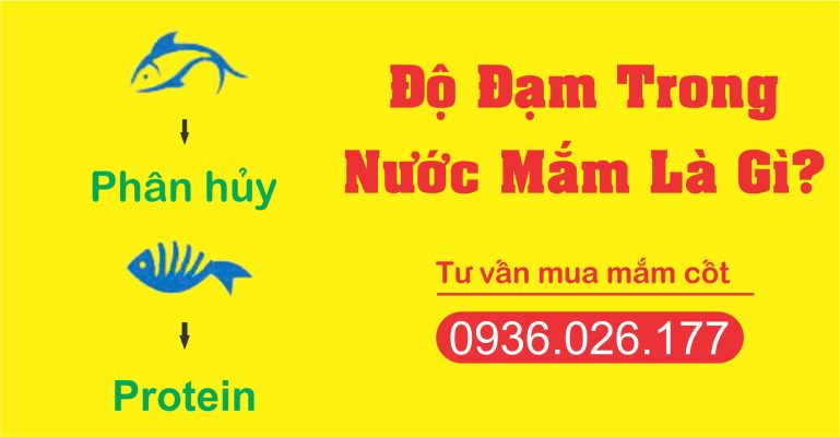 Độ Đạm Trong Nước Mắm Có Ý Nghĩa Gì? Hướng Dẫn Chọn Độ Đạm Phù Hợp